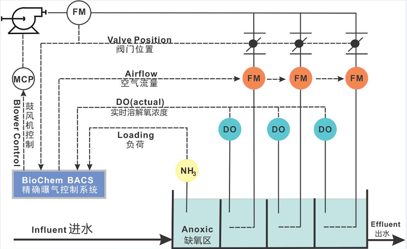 BACS-Topology-Diagram (1).png
